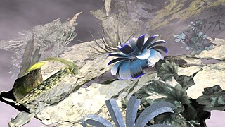 Para Garden - Areej Huniti & Eliza Goldox