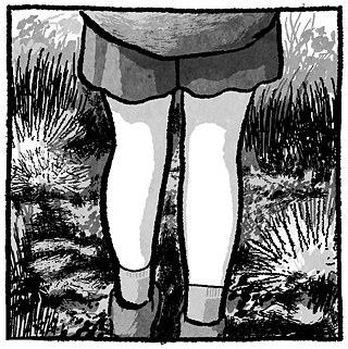 TheSaltyRiver_Excerpt_5