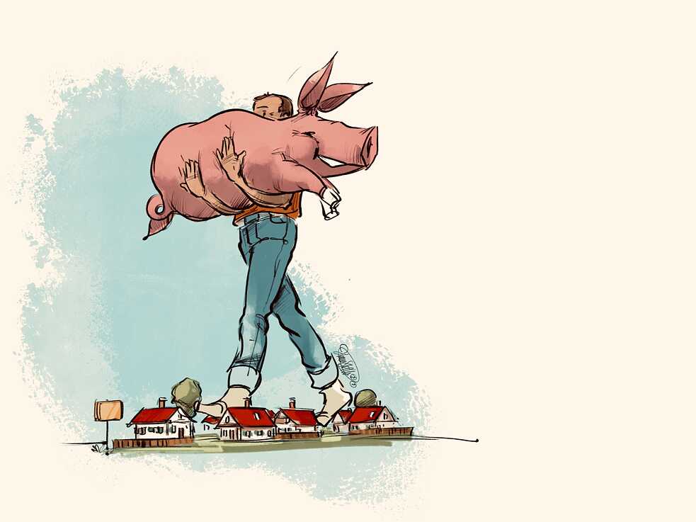 <b>Eine Sau durch’s Dorf tragen</b><br>Dem Borstenvieh würde es wahrscheinlich sogar gefallen, huckepack durch die Ortschaft befördert zu werden – in der Originalredewendung ergeht es dem Schweinchen leider nicht so gut: <b>Treibt man eine Sau durch’s Dorf</b>, wird sich über etwas Banales kräftig empört, dem man aber langfristig keine Aufmerksamkeit schenkt. Denn morgen wird bestimmt schon wieder eine neue Sau gejagt, über die man sich stattdessen aufregt. 