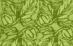 José Luis Soares Salvador 