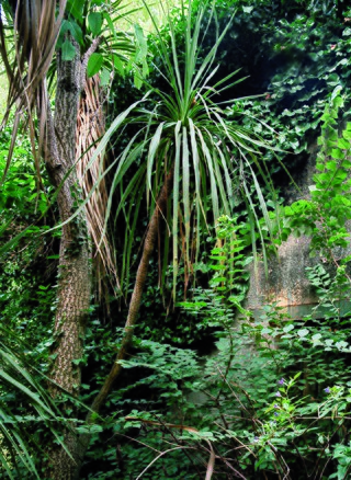 Matériel visuel Südwall Margret Hoppe Marseille 3