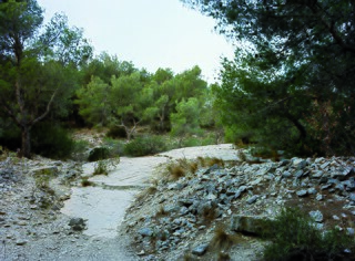 Matériel visuel Südwall Margret Hoppe Marseille 4