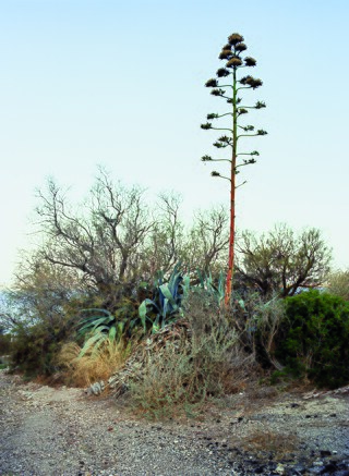Matériel visuel Südwall Margret Hoppe Marseille 5