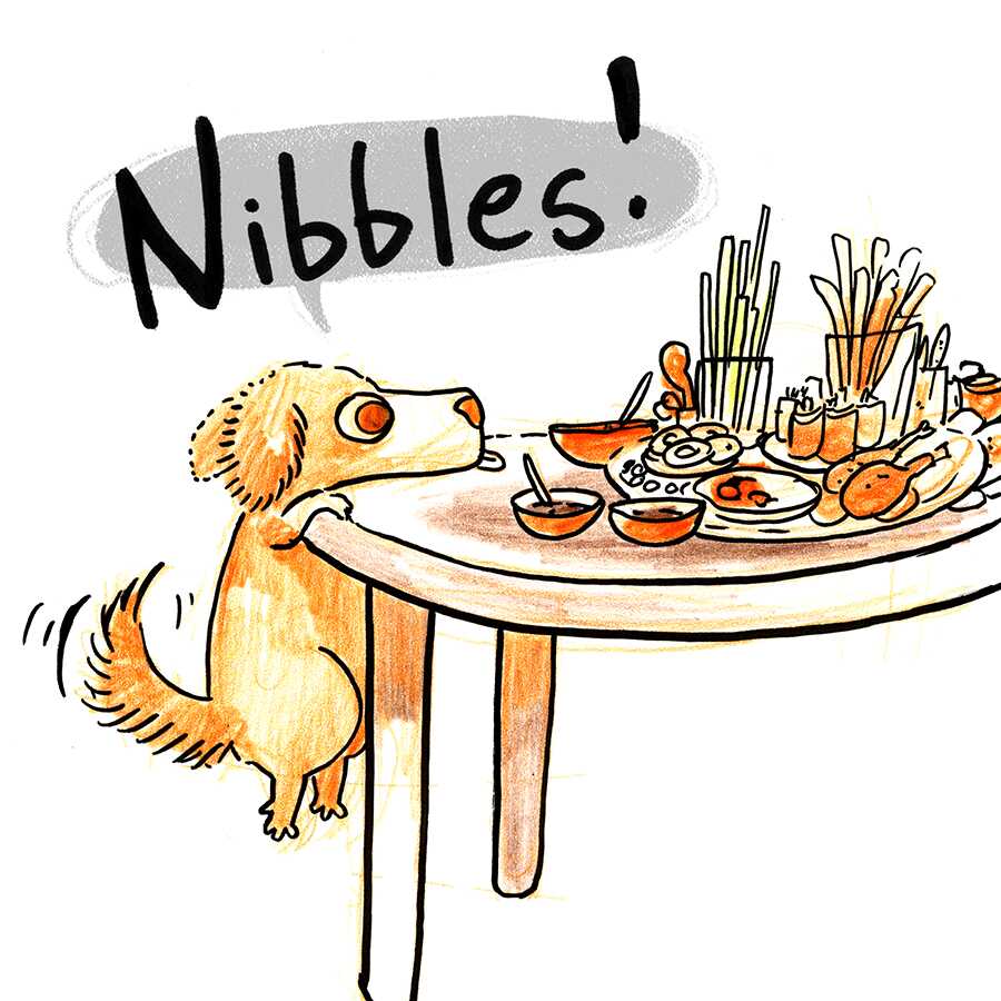nibbles