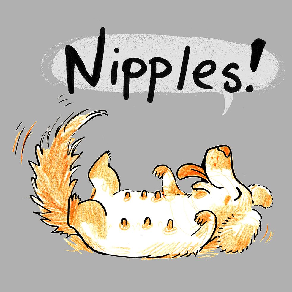 nipples