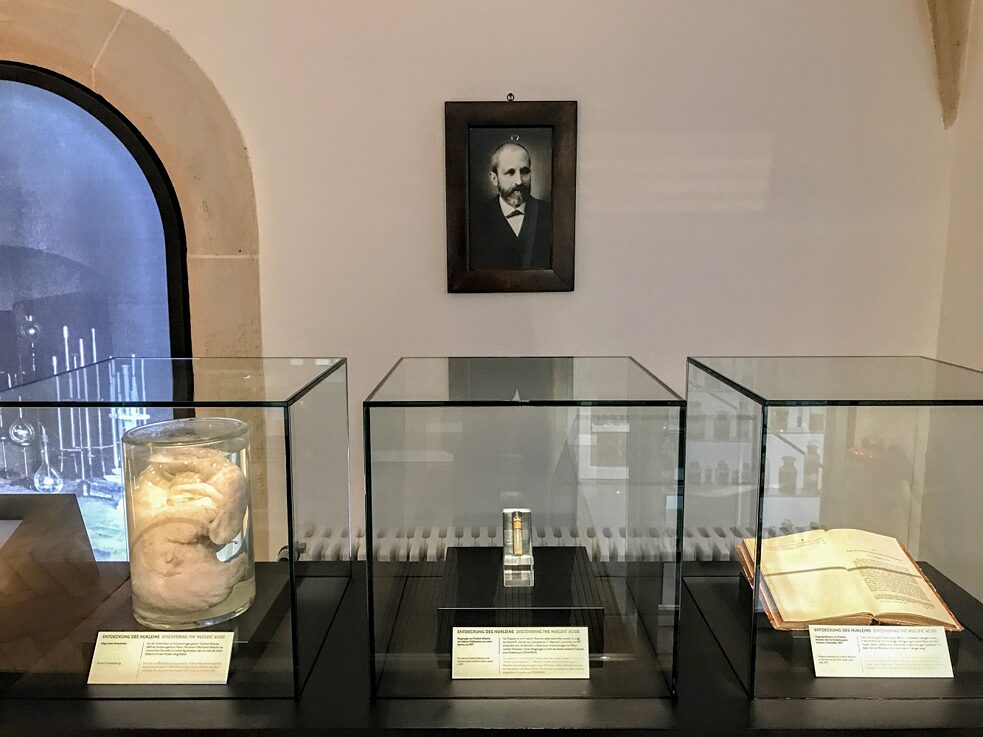 Photo du chimiste suisse Friedrich Miescher qui a découvert la nucléine ainsi que ses premiers ingrédients expérimentaux tels qu’une éprouvette contenant de la nucléine (au centre) dans le musée Schlosslabor