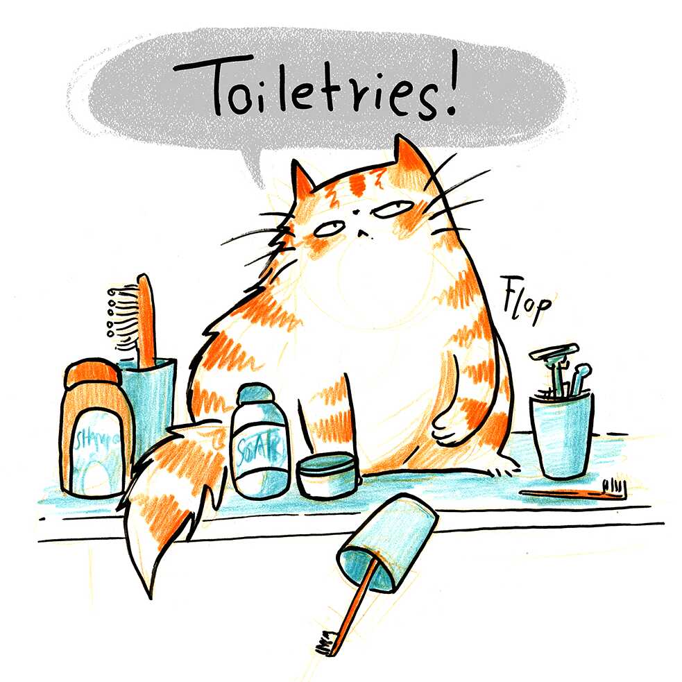 toiletries