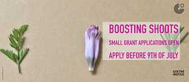 Boosting Shoots 983x427