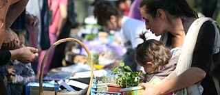 Das Saatgut-Festival, Elin Pelin, 2018 