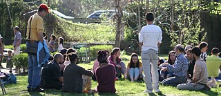 Das Saatgut-Festival, Elin Pelin, 2018 