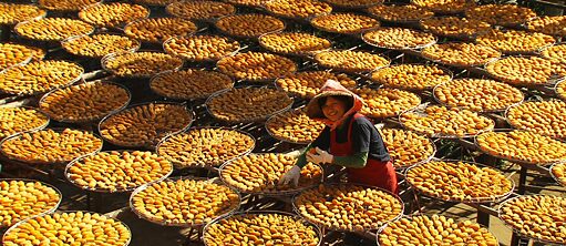 Das Rohe und das Gekochte © Salzgeber