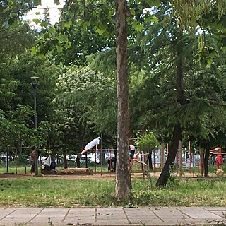 Sur les nombreuses installations sportives publiques des parcs romains, les sportives et les sportifs peuvent enfin s'entraîner à nouveau en plein air.