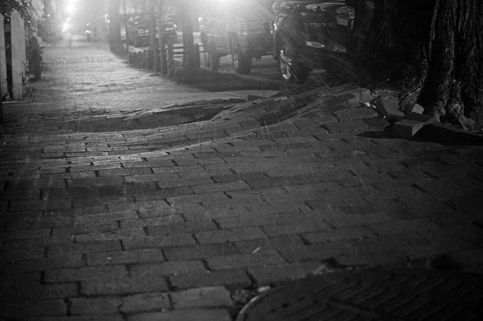 Brick sidewalks are popular in DC even though bricks don’t hold up quite as well underfoot as they do in walls. There are always loose bricks waiting to be pilfered by the city’s many brick thieves.