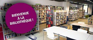 Bibliothek Ausleihe Goethe Institut Frankreich