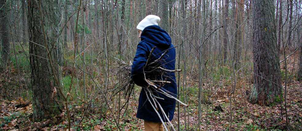 Naine korjab sügiseses metsas oksi