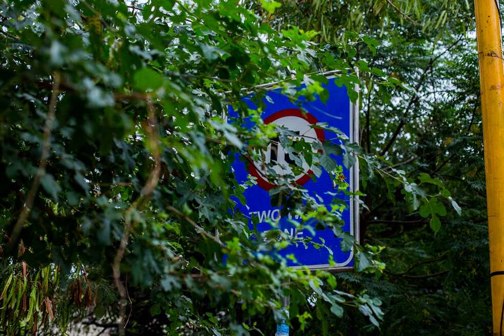 Cleverly hidden behind electric poles and trees, what secrets do these boards behold?