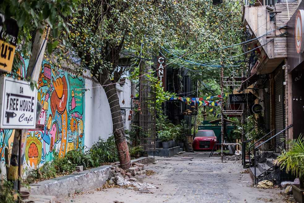 The majestic trees are twined to support the vines of electric wires that power a village in part of North Delhi. 