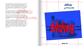 Attitude Problems (1)