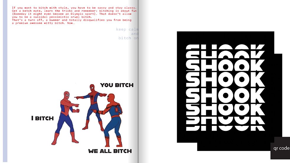 Attitude Problems (4)