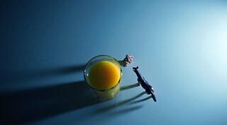 About the project - Julius & Laila