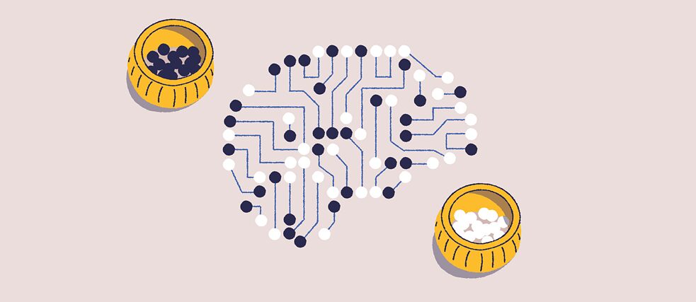 Ilustración: © Amélie Tourangeau