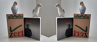 Die unerträgliche Schwere des Seins von Milan Kundera