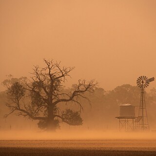 Ist doch schön, wenn allen etwas wärmer wird, oder? Sandsturm in Australien. 