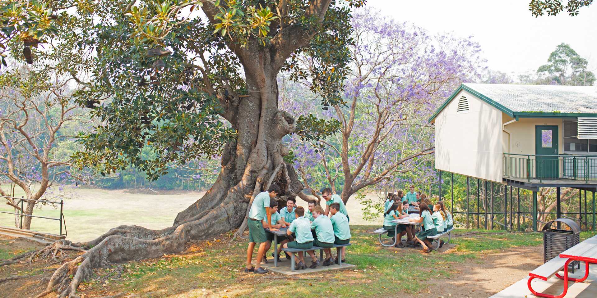 Ferny Grove State High School PASCHInitiative