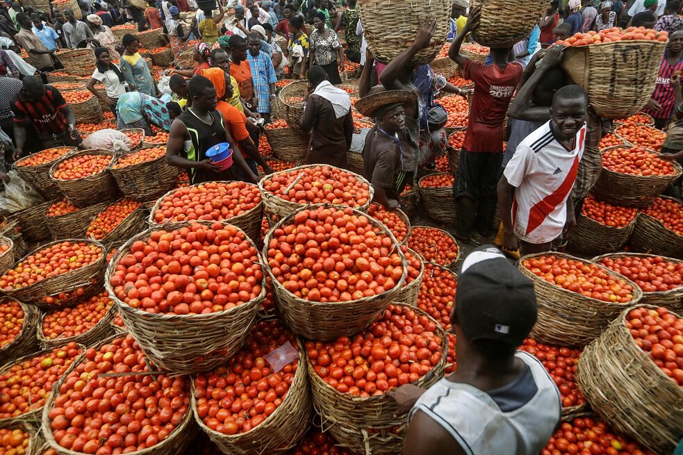 Nesta foto tirada na sexta-feira, 17 de abril de 2020, as pessoas compram tomates em um mercado de hortaliças na capital comercial Lagos, na Nigéria. Confinamentos na África limitando o movimento das pessoas na tentativa de retardar a propagação do coronavírus estão ameaçando sufocar os suprimentos daquilo que o continente mais necessita: alimentos.