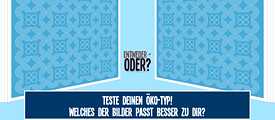 Quiz: EITHER - OR: TEST YOUR ECO TYPE