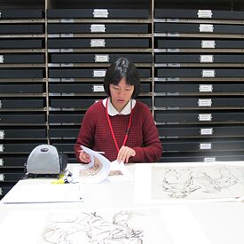 Nguyen Thi Thanh Mai portrait