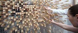 Foto (Ausschnitt): Natalia Cheban 