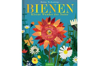 Britta Teckentrup: „Bienen: Kleine Wunder der Natur“