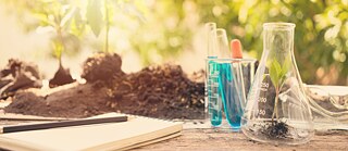 Уақыт өткен сайын неғұрлым көбірек оқу бағдарламалары қоршаған ортаны қорғау мен баяндылық тақырыбына зер салуда. 