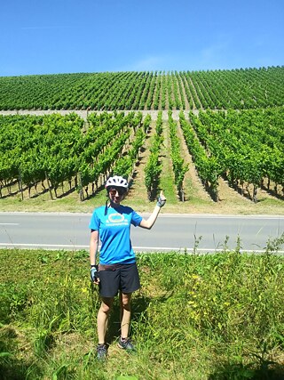 Franconian wine region