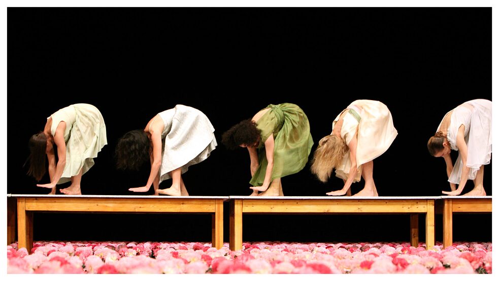 Aufführung von Pina Bauschs „Nelken“ im Tanztheater Wuppertal, fotografiert von Ursula Kaufmann 