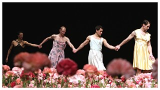 Représentation de « Nelken » de Pina Bausch au Tanztheater Wuppertal photographié par Ursula Kaufmann 
