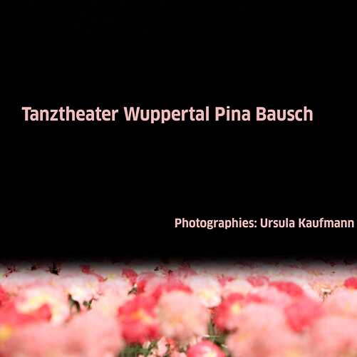 Nelken von Pina Bausch