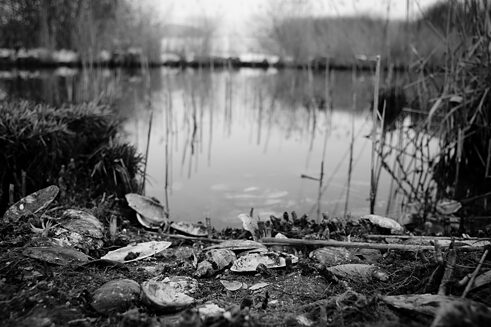 15. Fischach, Seekirchen