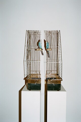 Cut - from the photo essay "Folded, Always a Mistake" by Christian Werner