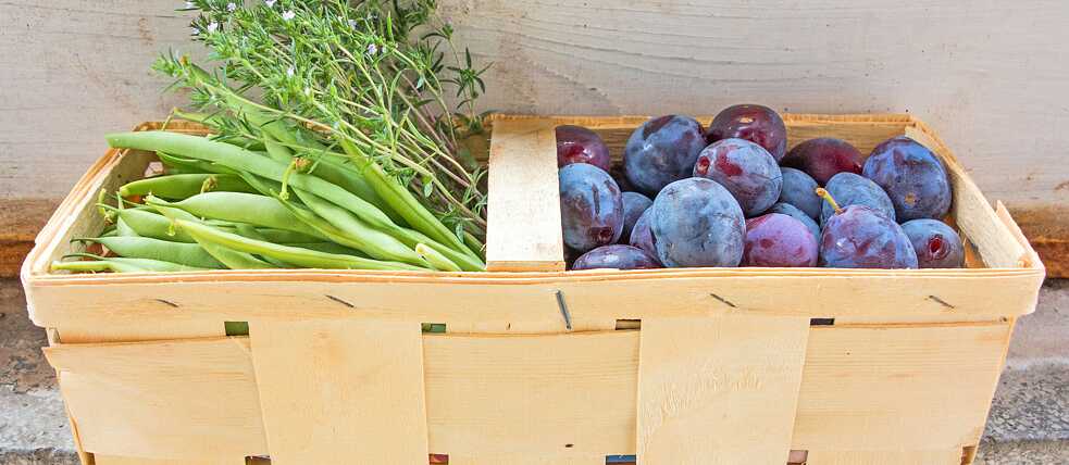 Obst- und Gemüsekorb