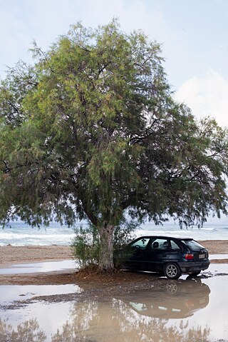 Falschparker / "Bad Parking" - from the photo essay "Folded, Always a Mistake" by Christian Werner