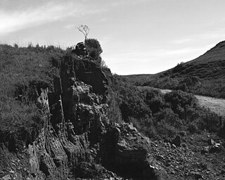 @ Marco Antônio Filho