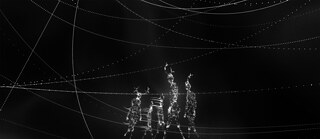 Kykeon Trilogy - Screenshots from VR experience