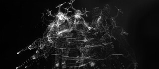 Kykeon Trilogy - Screenshots from VR experience