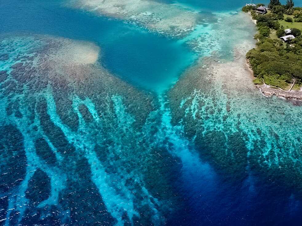 Modular_Reef_1