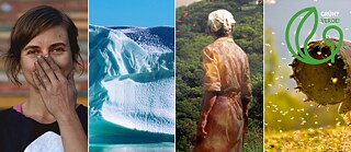 Erde, Wasser, Feuer, Luft 