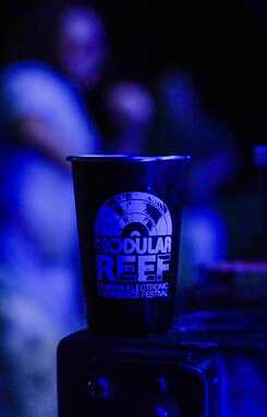 Steel_Cup_Modular_Reef