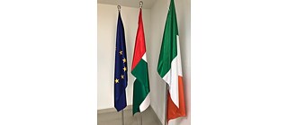 Flaggen Irland