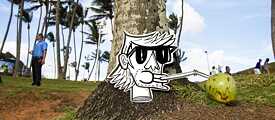 Salvador is renowned not only for its Portuguese colonial architecture, but also for its tropical coast. The city has an incredible 80 km of idyllic beaches. While the Atlantic waves attract numerous surfers, the protected Baía de Todos os Santos invites for a swim. Coconuts are sold at every corner!